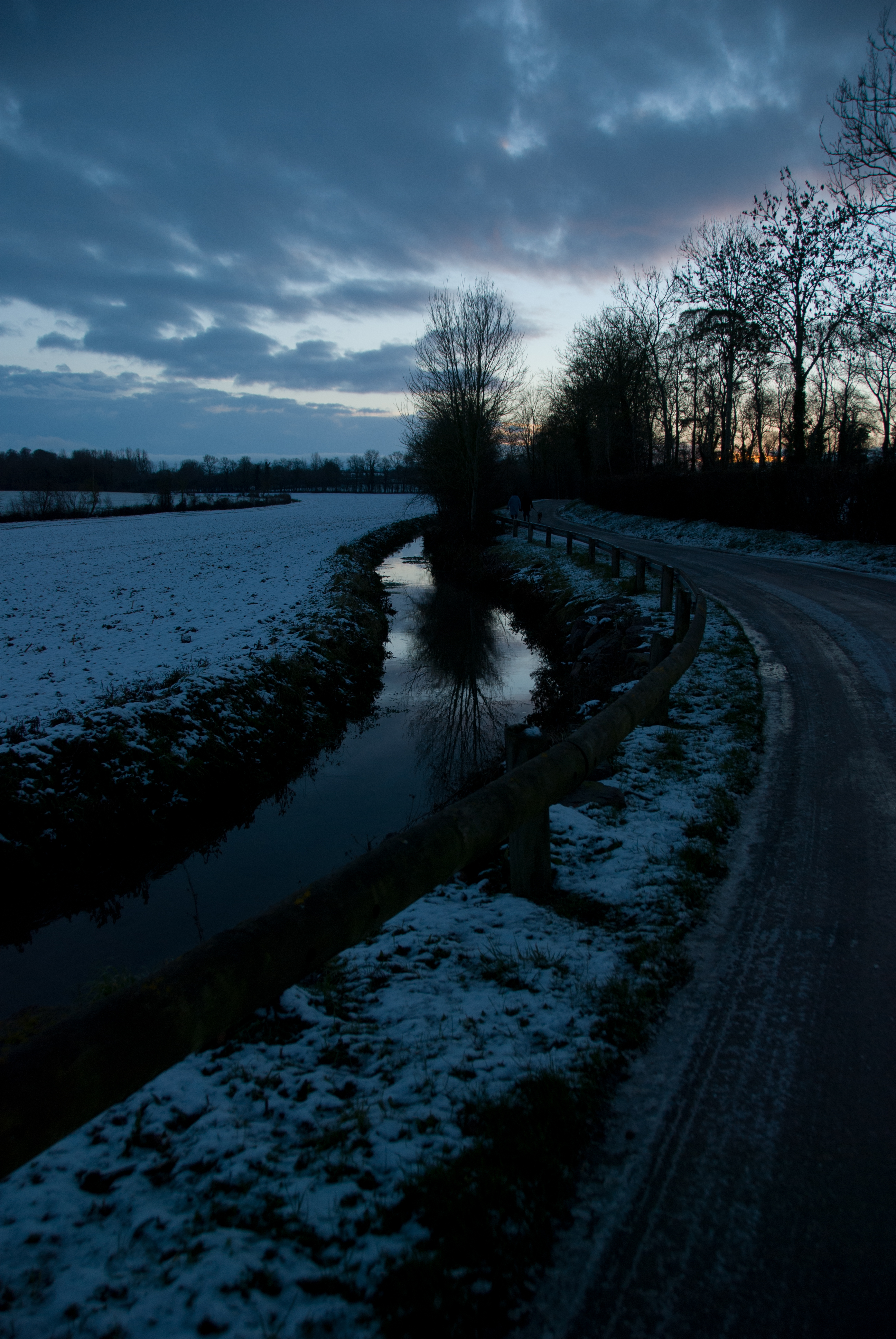 DSC_4269