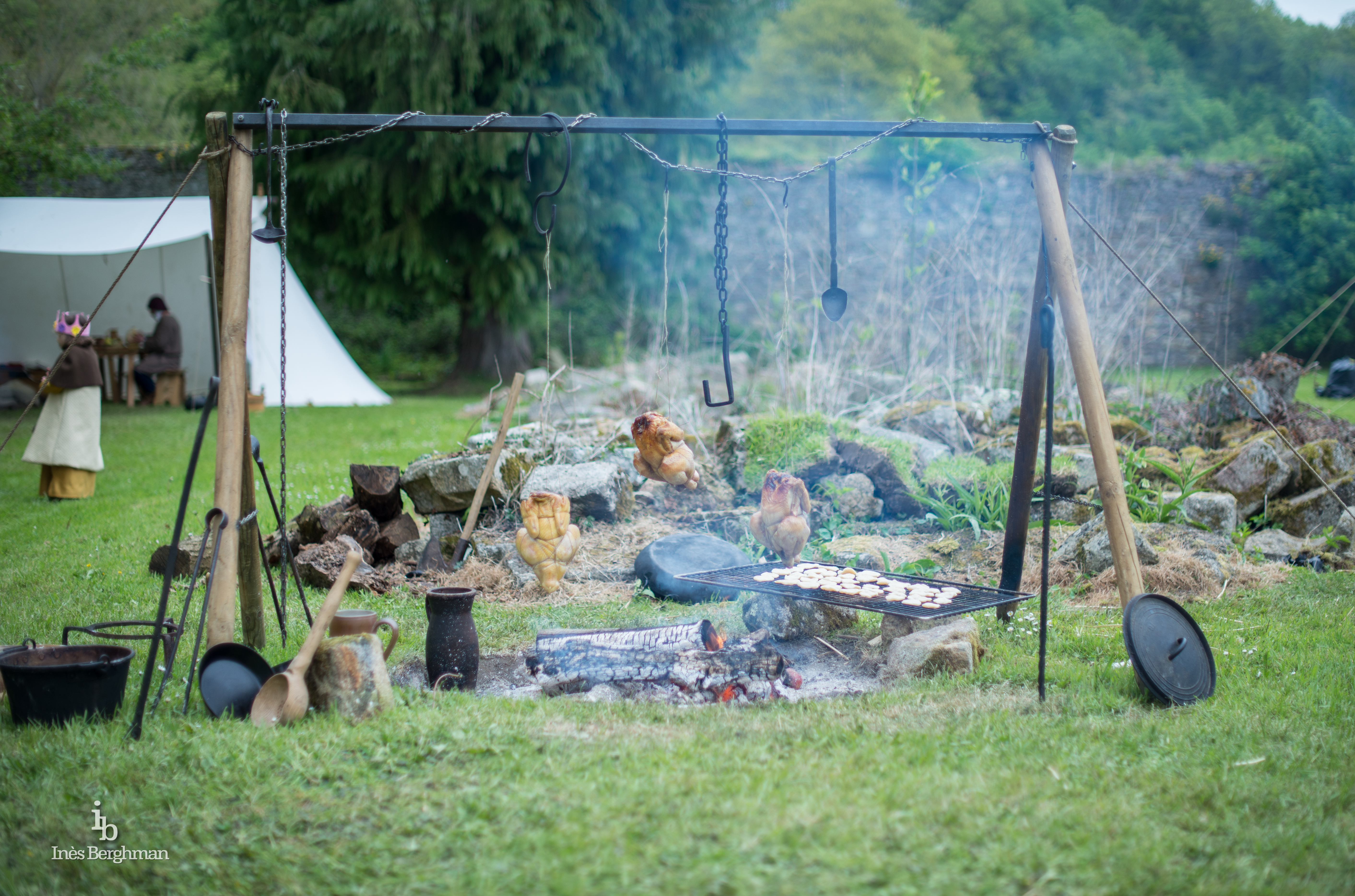 Poulets suspendus