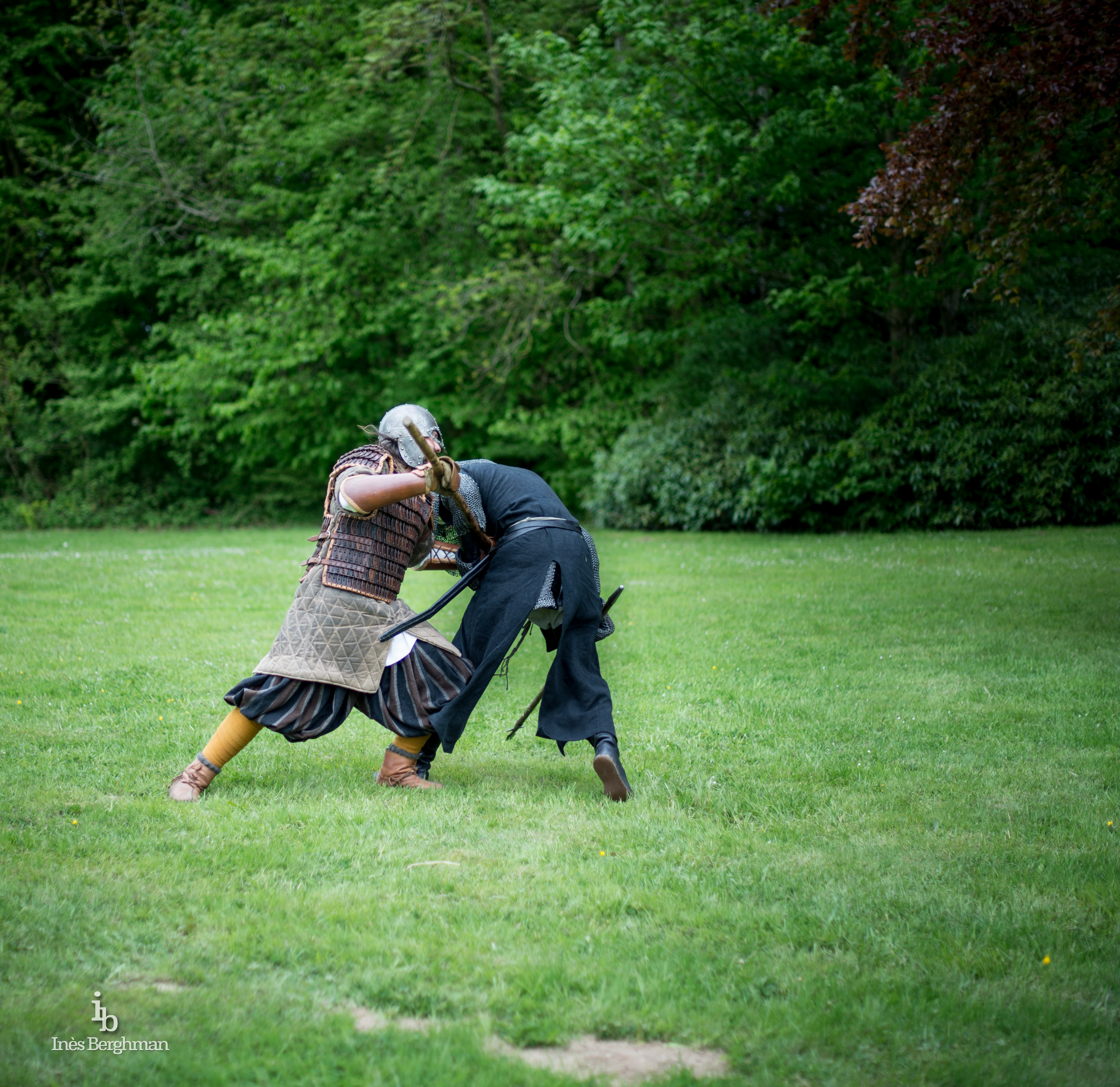 Combat entre Viking et Hospitalier