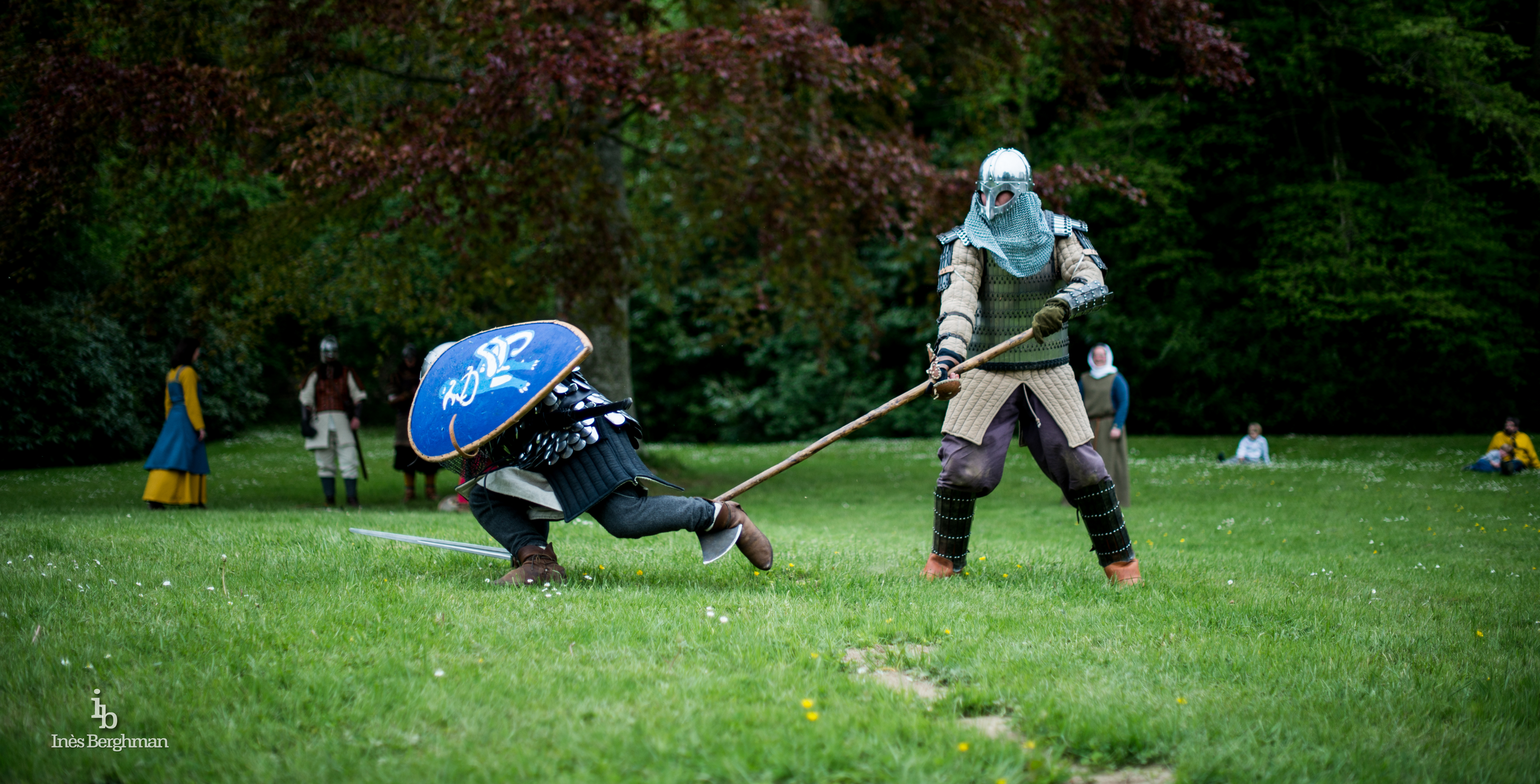 Combat Viking