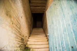 Lire la suite à propos de l’article Test Objectif Tamron (Bienvenue au grenier à grain)