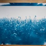 Cyanotype – sur papier/verre/tissu